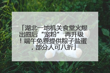 湖北一地机关食堂火爆出圈后“宠粉” 再升级！端午免费提供粽子盐蛋，部分人可八折